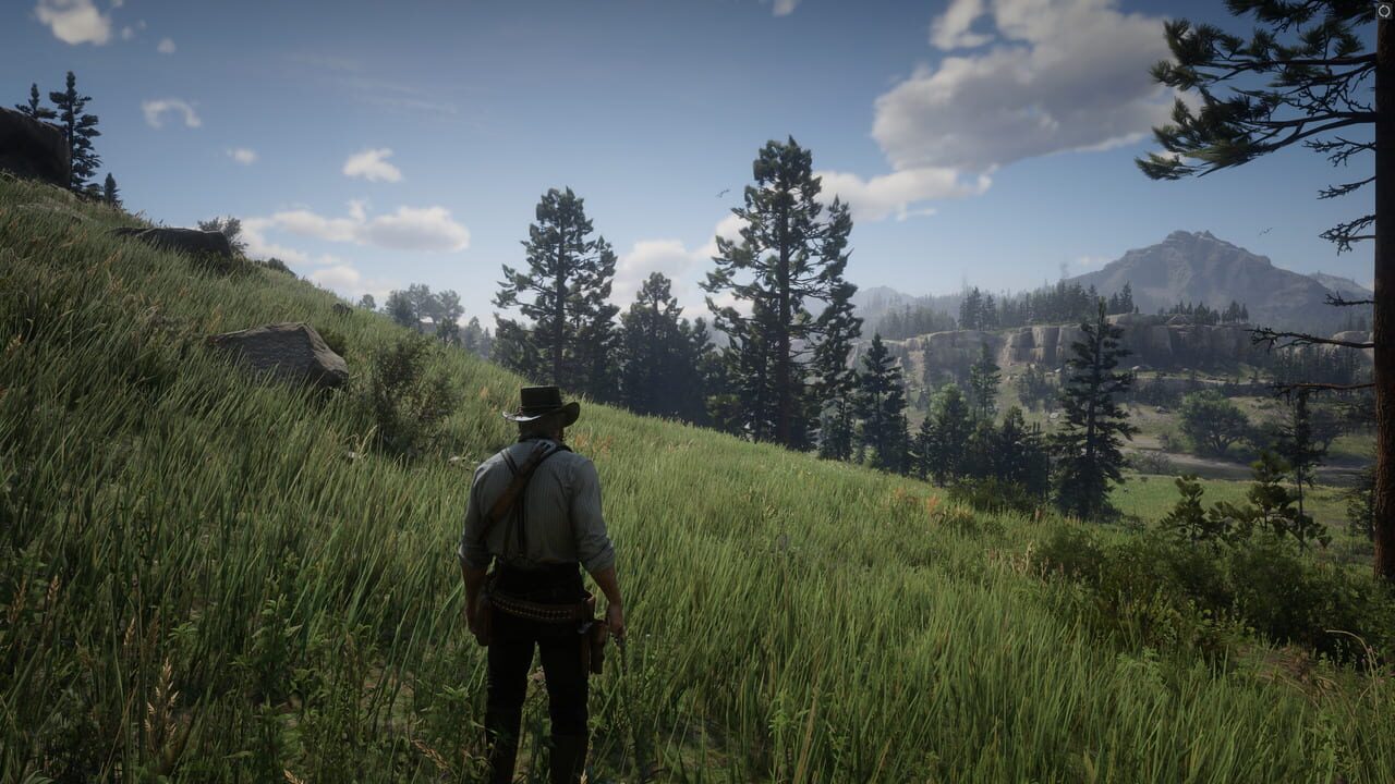 Red Dead Redemption 2 – captura de tela 3
