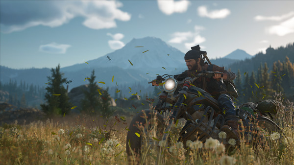 Days Gone – screenshot 3