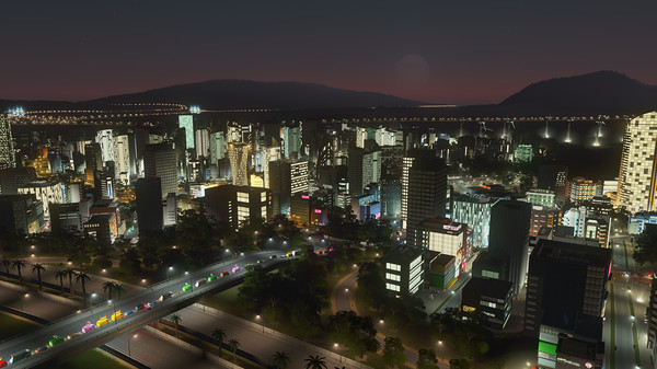 Cities: Skylines – screenshot 3