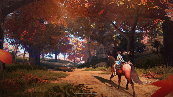 Black Desert – screenshot 5
