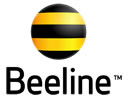 Beeline Uzbekistan USD